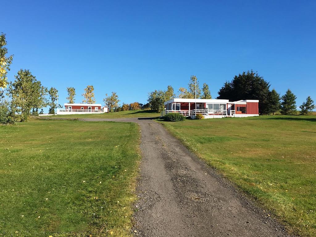 Hofthi Cottages Dalvík Kültér fotó